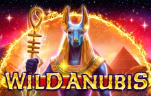 Wild Anubis - Amatic