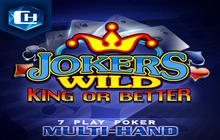Poker 7 Joker Wild K+ - Champion