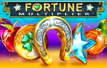 Fortune Multiplier - Playbro