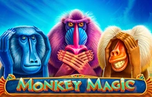 Monkey Magic - Playbro