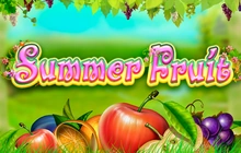 Summer Fruits - Playbro