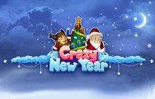 Crazy New Year - Thunderspin