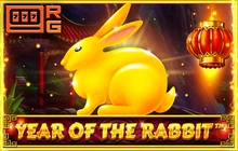 Year Of The Rabbit - Retro gaming