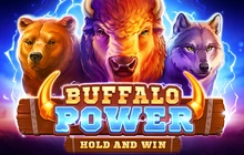 Buffalo Power - Playson