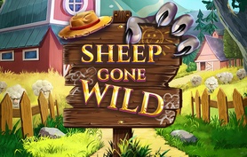 Sheep Gone Wild