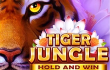 Tiger Jungle - 3 oaks
