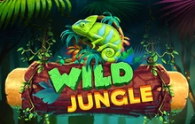 Jungles - Smartsoft