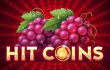 Hit Coins 2 Hold and Spin - Barbarabang