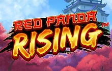Red Panda Rising - Slot matrix