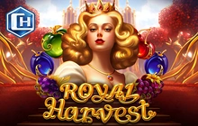 Royal Harvest - Champion