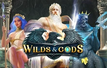 Wilds and God - Smartsoft