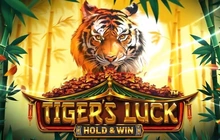 Tiger's Luck Hold and Win - Betsoft