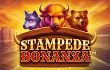 Stampede Bonanza - Booming games