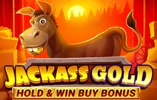 Jackass Gold Hold & Win Buy Bonus - Novomatic