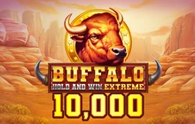 Buffalo Hold and Win Extreme 10,000 - Booming games