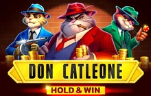 Don Catleone Hold And Win - 1spin4win