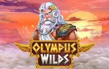 Olympus Wilds - Swintt