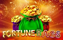 Fortune Bags - Amigo gaming