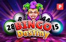 Bingo Destiny - Platipus