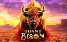 Grand Bison - Red rake