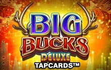 Big Bucks Deluxe Tapcards - Btg