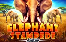 Elephant Stampede SE - Ruby play