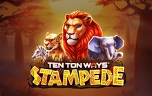 Ten Ton Ways Stampede - Ruby play