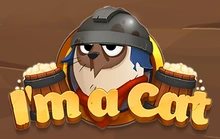 I m A Cat - Pixmove
