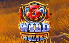 5 Wild Wolves - Relax gaming