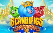 Skandipigs - Gamebeat