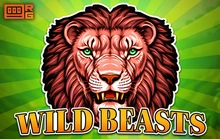 Wild Beasts - Retro gaming