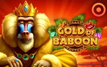 Gold of Baboon - Onlyplay