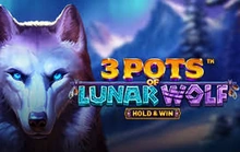 3 Pots Of Lunar Wolf - Hold & Win - Betsoft