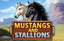 Mustangs and Stallions - Booming games