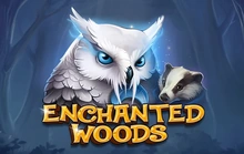 Enchanted Woods - Ct_gaming