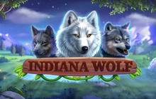 Indiana Wolf - Habanero