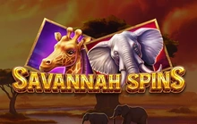 Savannah Spins - Thunderspin
