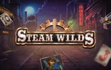 Steam Wilds - Thunderspin