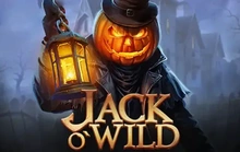 Jack O'Wild - Gamzix