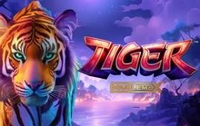 Tiger DoubleMax - Yggdrasil