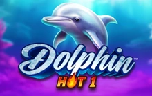Dolphin Hot 1 - Yggdrasil