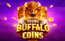 Young Buffalo Coins - Evoplay