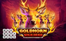 Goldhorn Wild Herd - Barbarabang