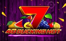 40 Ducking Hot - Four7
