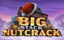 Big Stack Nutcrack - Print_studios