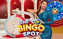 The Bingo Spot - Pragmatic