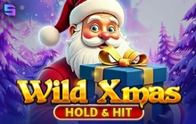 Wild Xmas - Hold & Hit - Spinomenal