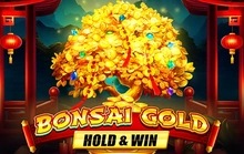 Bonsai Gold Hold & Win - Novomatic_fizzy