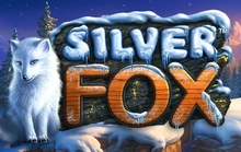Silver Fox - Novomatic_fizzy