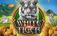 White Tiger - Funkygames